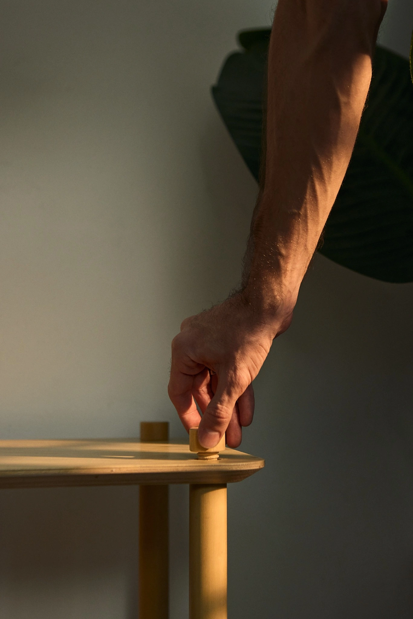 Armado manual de la Estantería Viva: ajuste de la tapa de madera